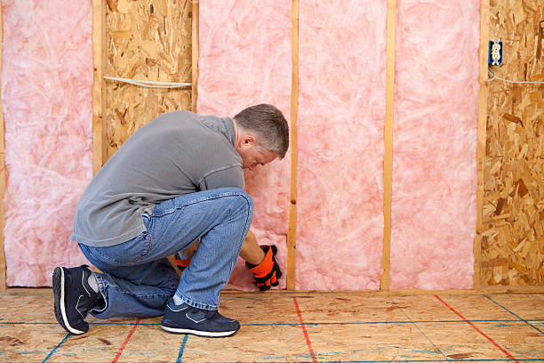 Best Insulation Inspection Services  in New Bremen, OH